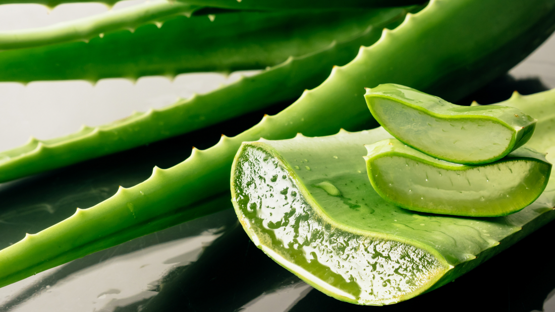 DIY Aloe Vera Spray for Hair Growth & Curl Refresher: The Ultimate 3-Ingredient Solution